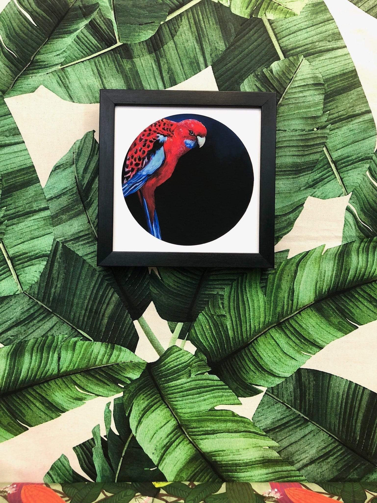 Crimson Rosella 8" Giclée Print