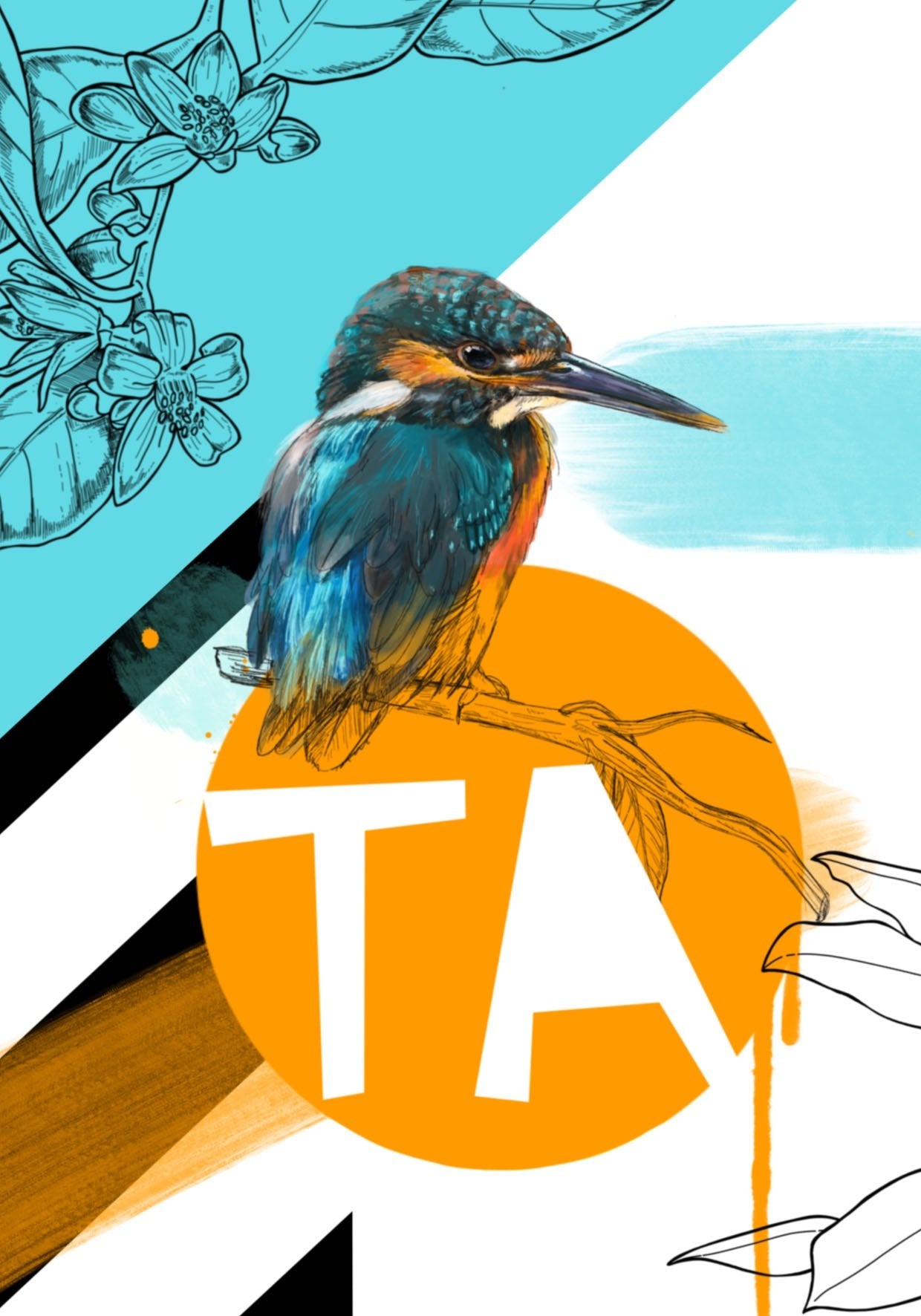 Kingfisher - Ta Greeting Card