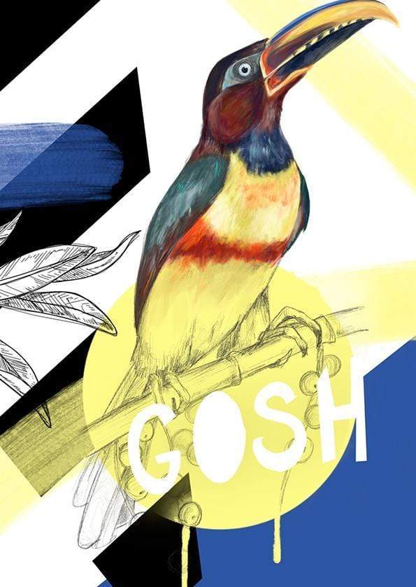Chestnut-eared araçari - Gosh Greeting Card