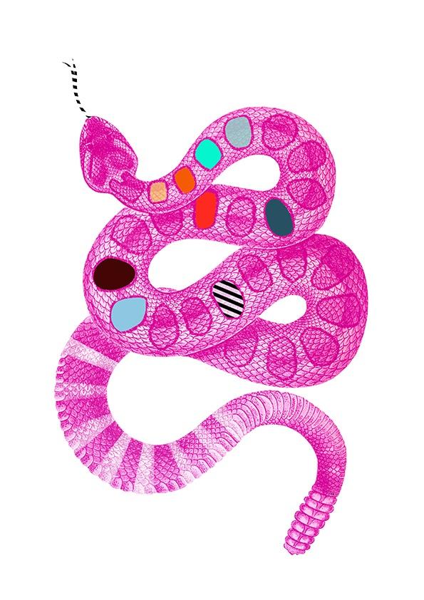 Rattlematazz Snake A4 Print