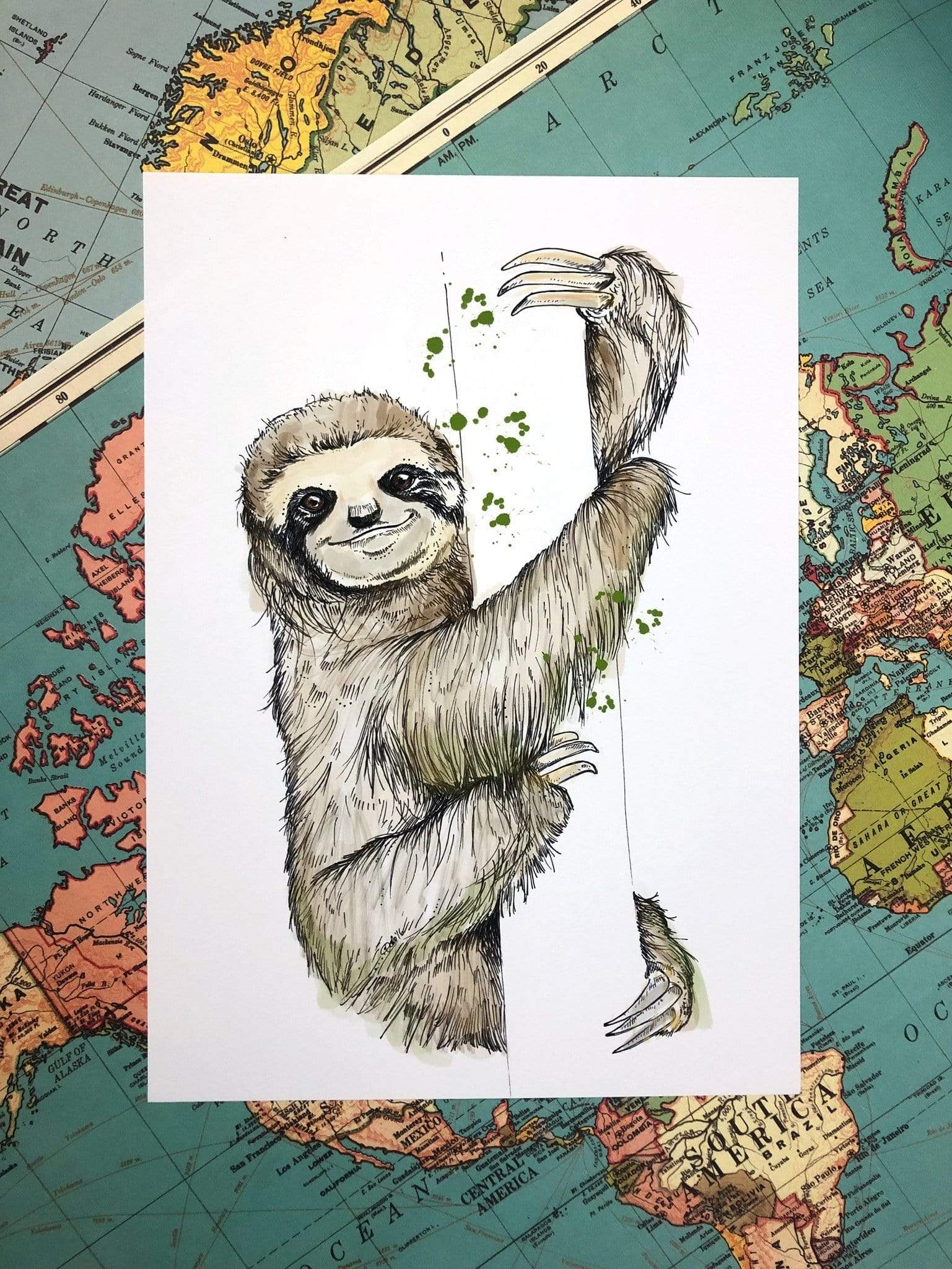 This image contains Sloth,Illustration,Three-toed sloth,Art,,