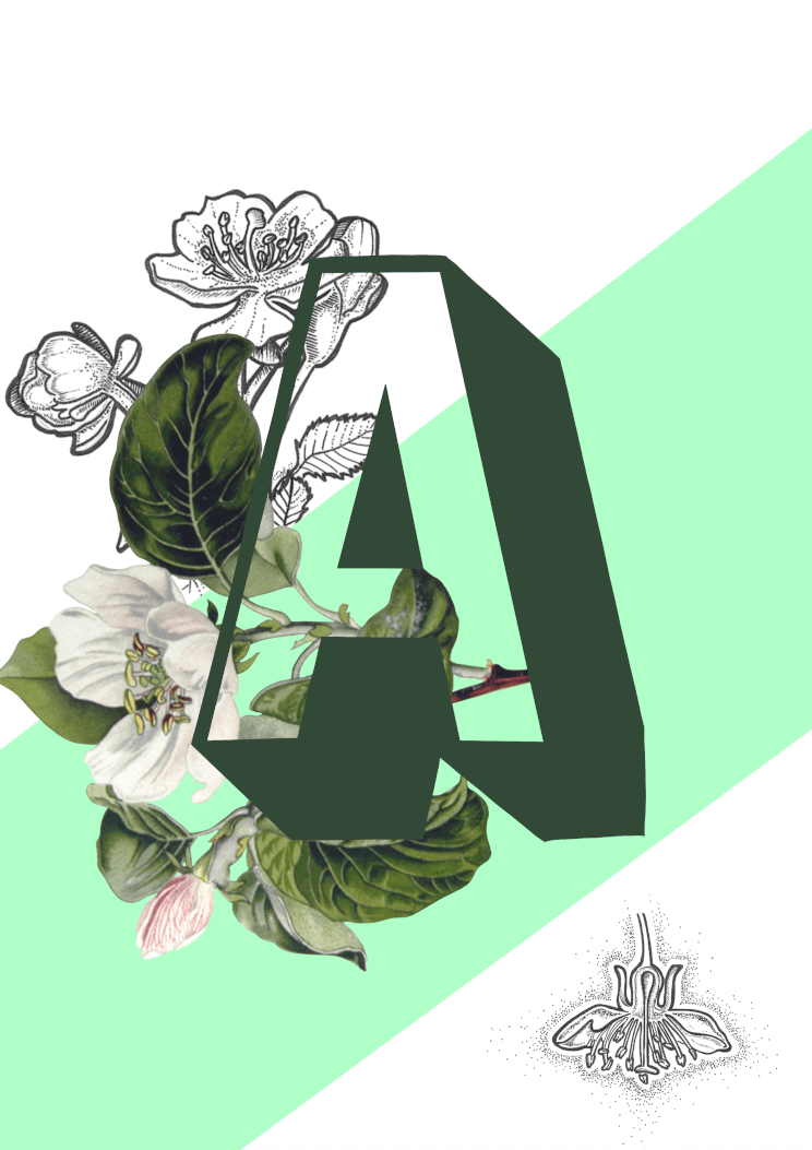 Botanical Alphabet A A2 Print