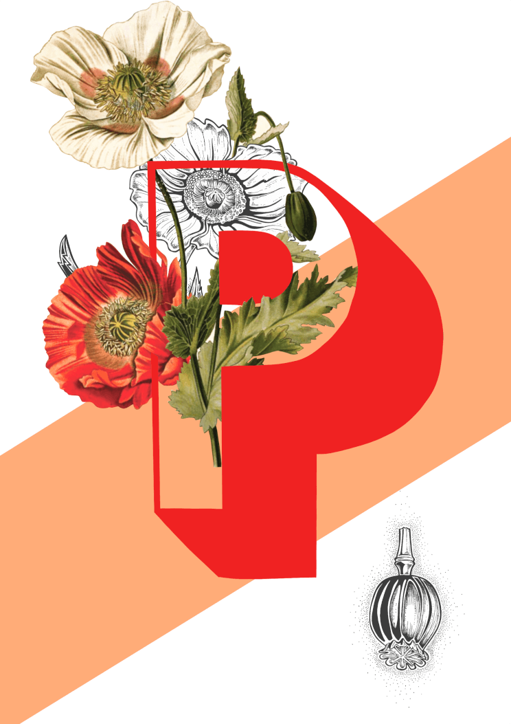 Botanical Alphabet P A2 Print