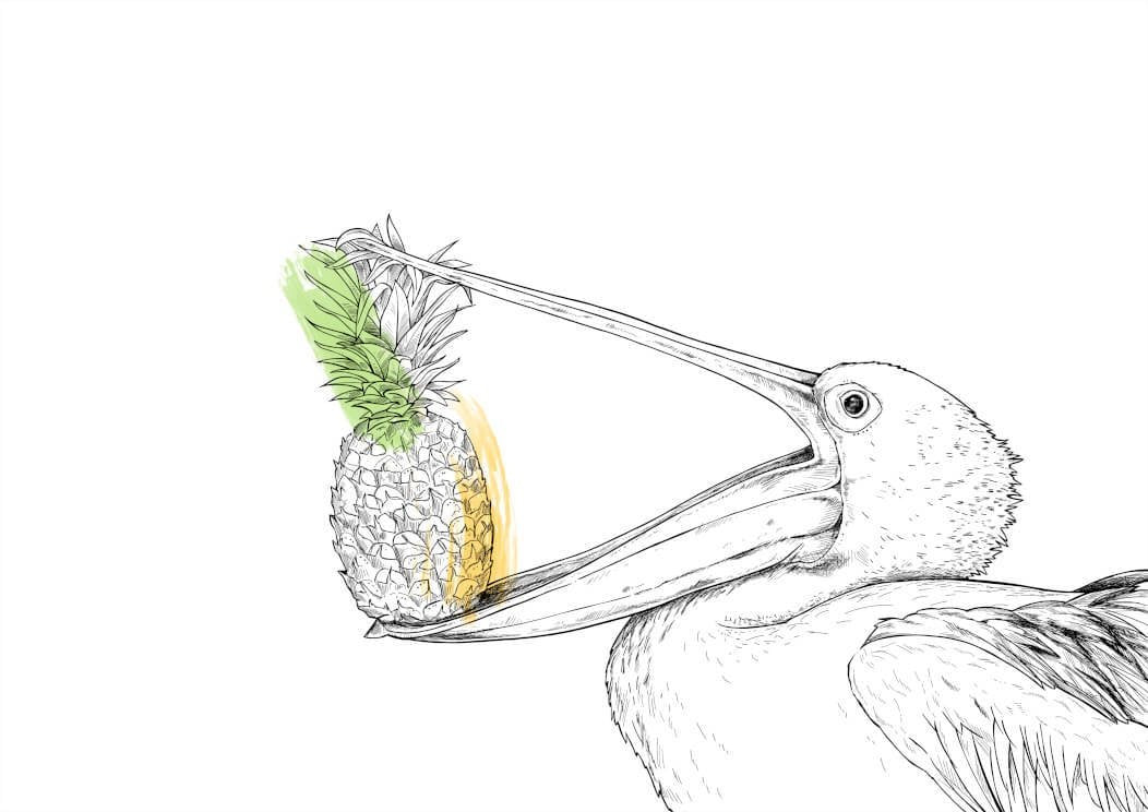 Pineapple Pelican A4 Print