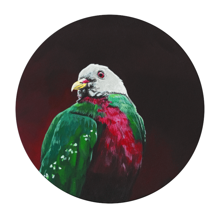 This image contains Bird,Parrot,Parakeet,Macaw,Budgie,Beak