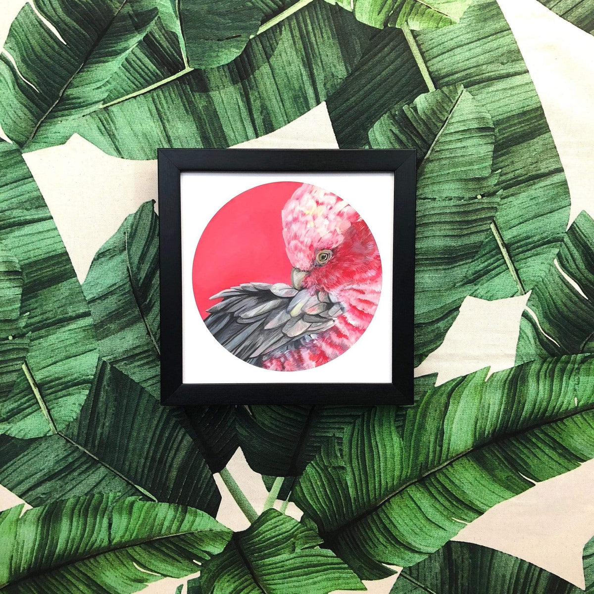 Galah 8" Giclée Print