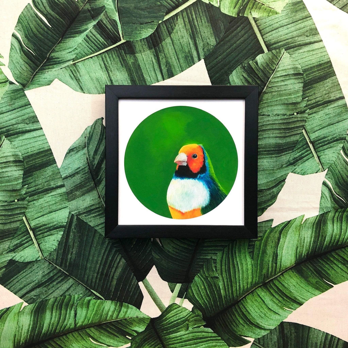 Gouldian Finch 8" Giclée Print