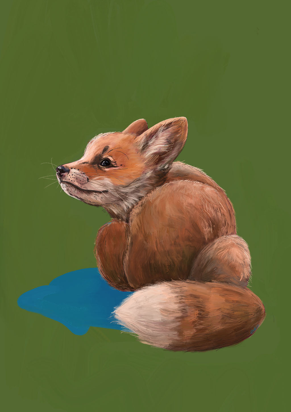 x9232 Tiny Fox 
