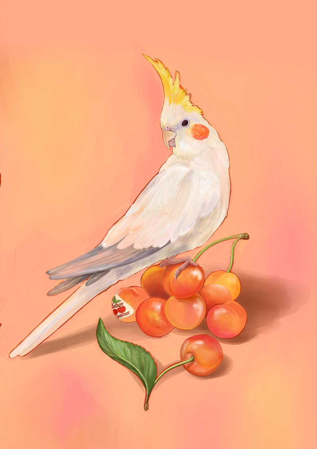 x9149 Cherry Cockatiel 