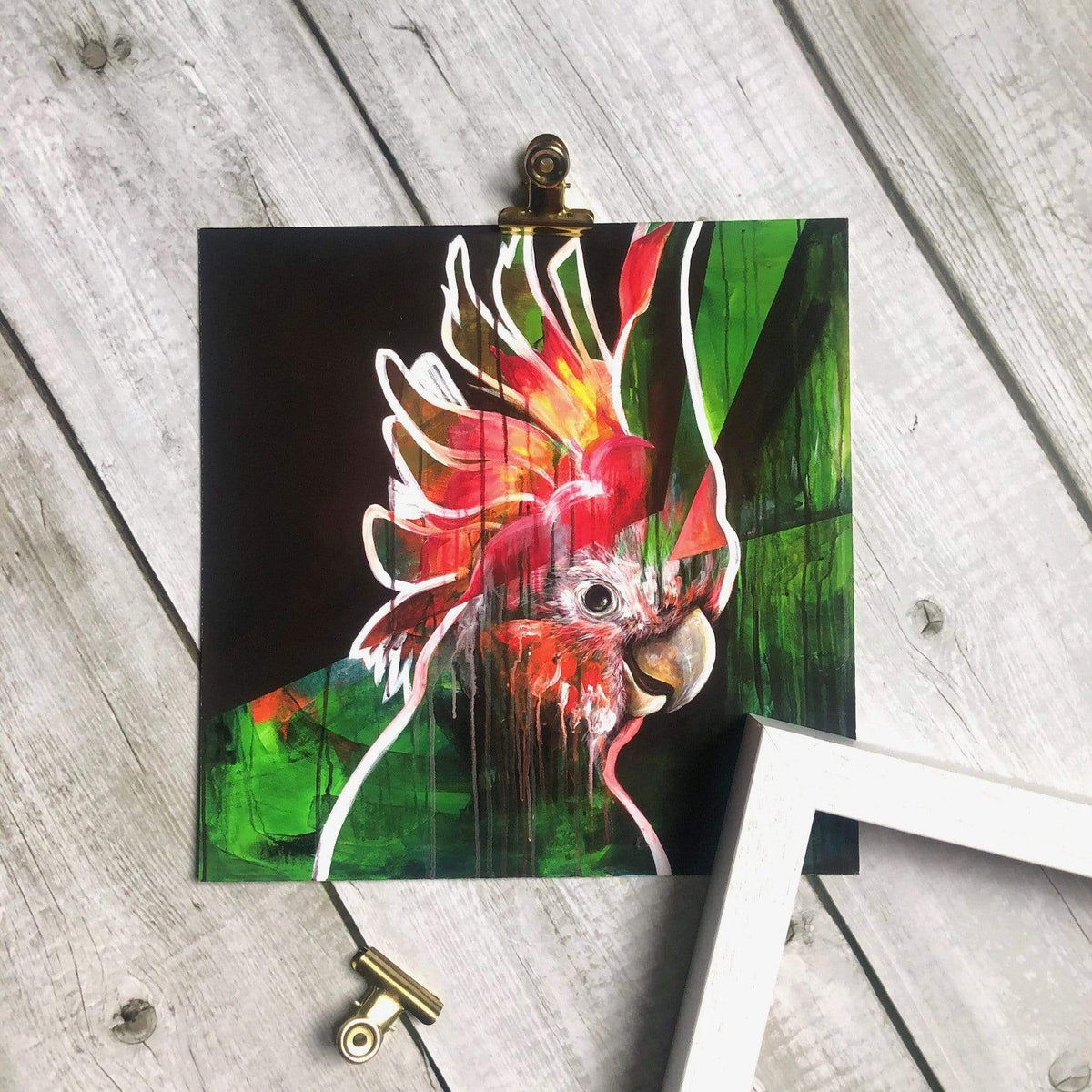 Major Mitchell's Cockatoo 12" Giclée Print