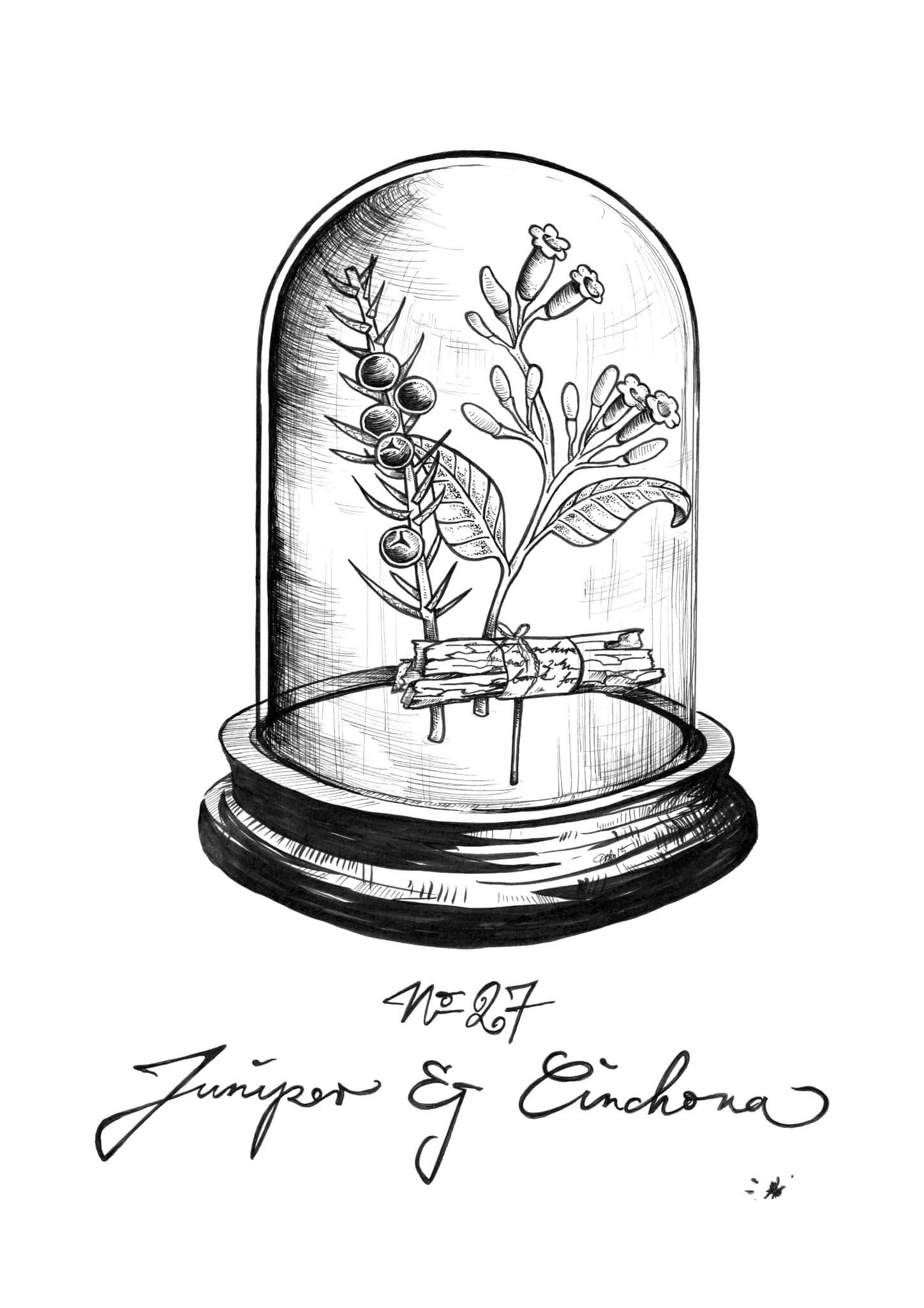 No 27 Juniper & Cinchona Bell Jar Matte Art Print