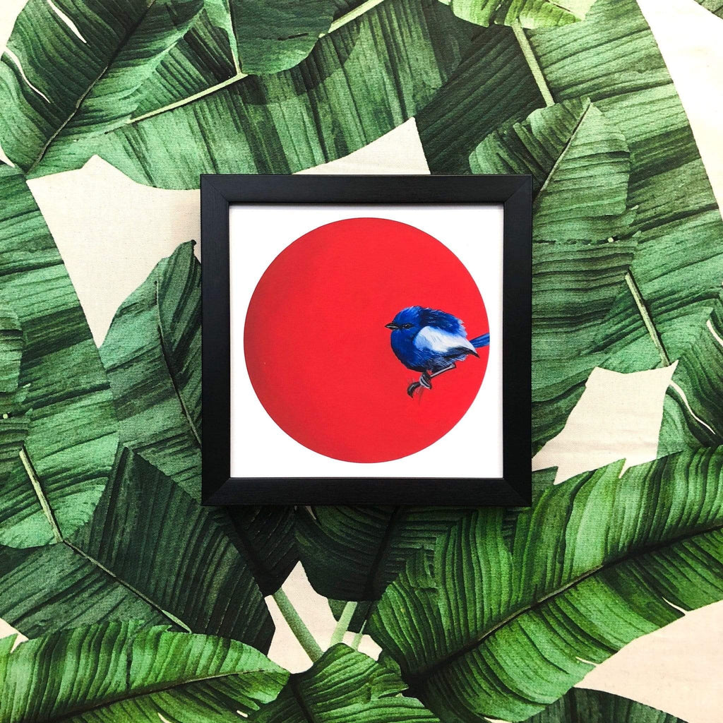 Fairy Wren 8" Giclée Print