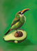 x9148 Avocado Aulacorhynchus (green toucanet) 