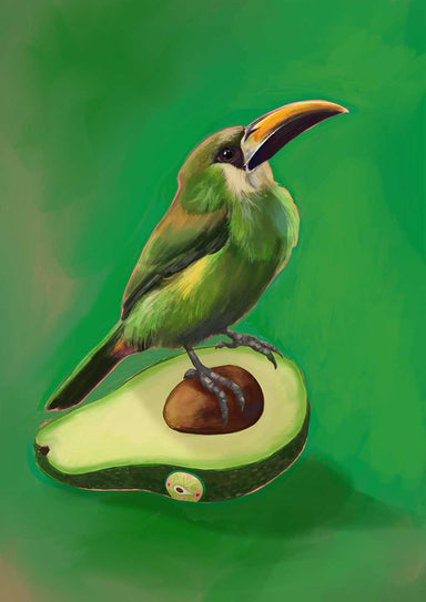 x9148 Avocado Aulacorhynchus (green toucanet) 