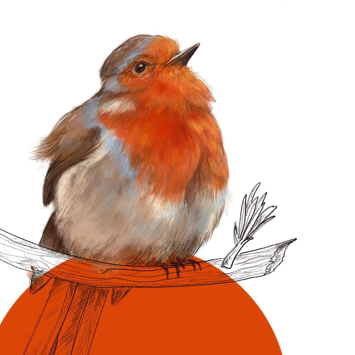 Robin A4 Giclée Print