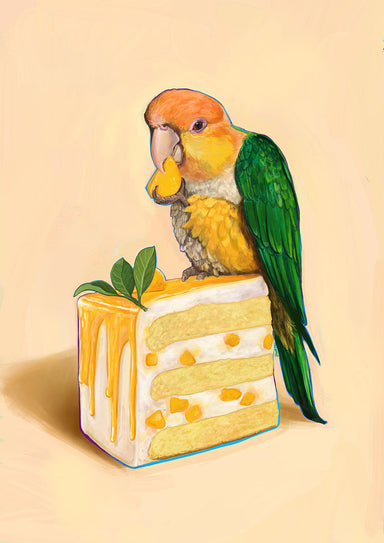 x9147 Caique On Cake 