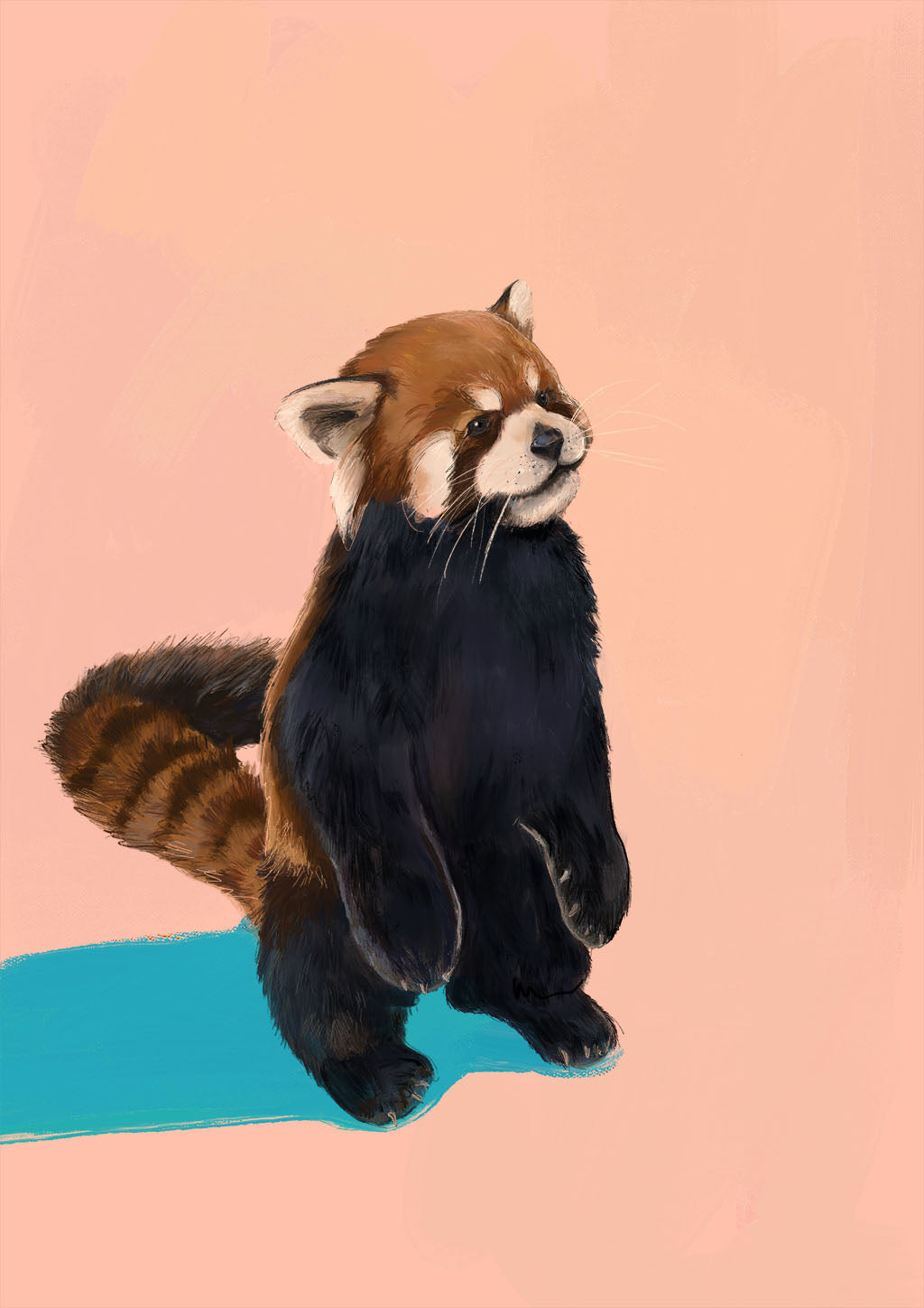 x9201 Red panda pink blue 