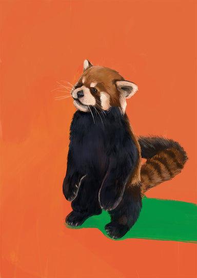 x9202 Red panda orange green 