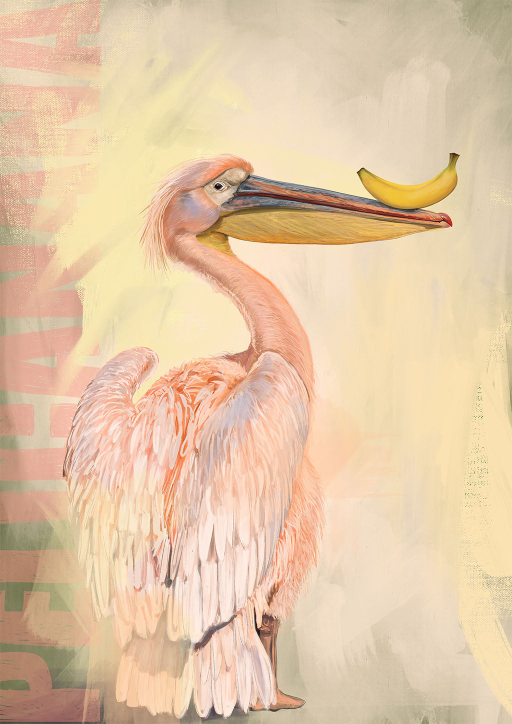 x9204 Pelicanana 