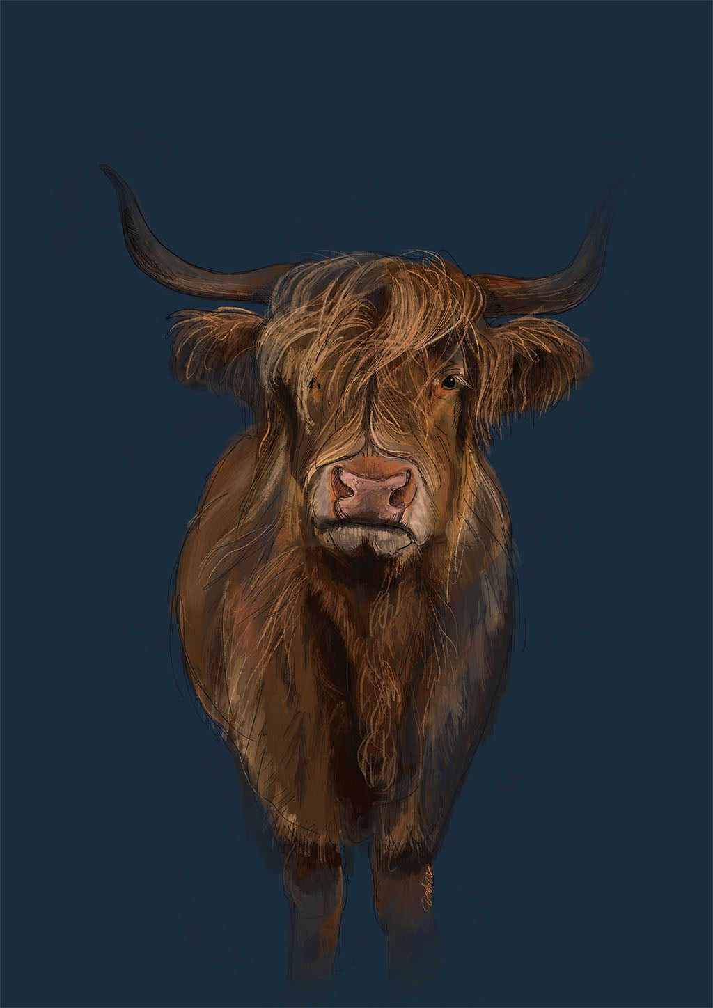 x959 Hairy Coo 